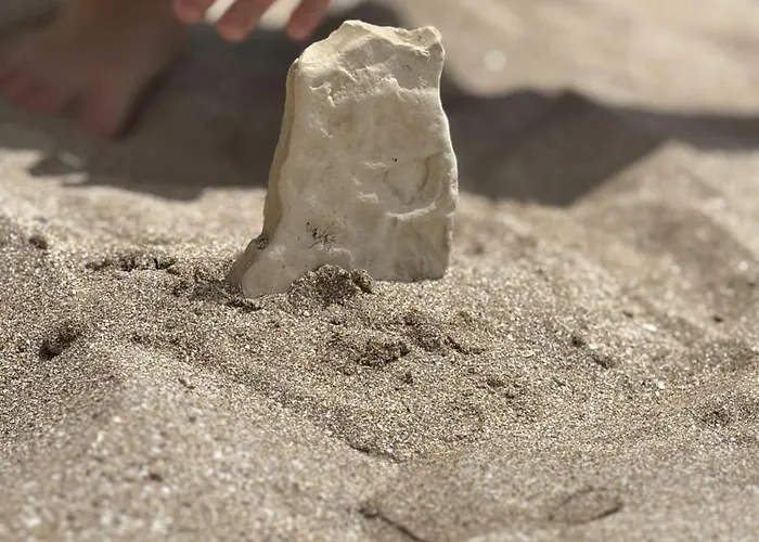 אתר קמפינג каравана рапунцел - Rapunzel Caravan בלצ'יק