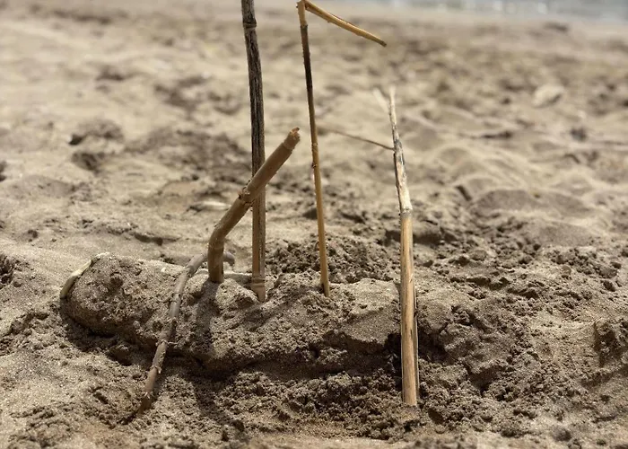 каравана рапунцел - Rapunzel Caravan אתר קמפינג *