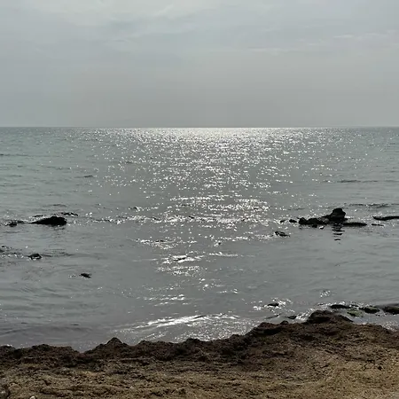 каравана рапунцел - Rapunzel Caravan