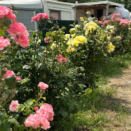 каравана рапунцел - Rapunzel Caravan Campsite