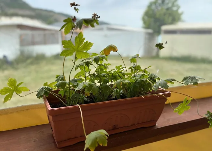 キャンプ場 каравана рапунцел - Rapunzel Caravan *