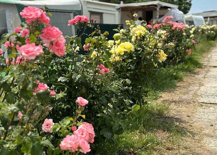 каравана рапунцел - Rapunzel Caravan キャンプ場